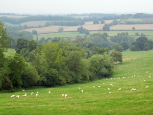 The pastoral Cotswolds in Gloucestershire, the place where my 15-year-old heroine and her seven-year-old will be evacuated to out of London...